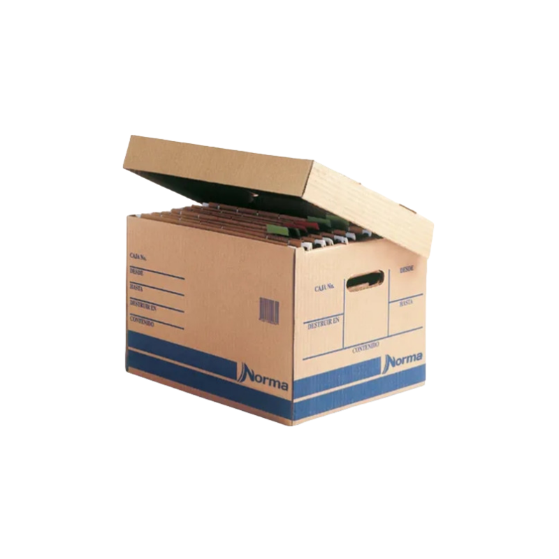 CAJA P/ARCHIVO NORMA No.  20 FOLDER COLGAN 500491